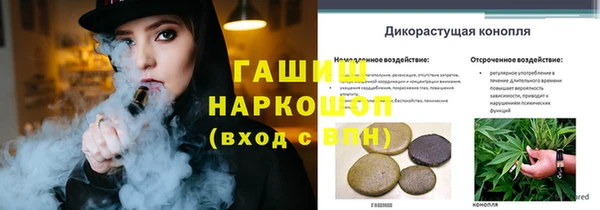 гашик Алексин