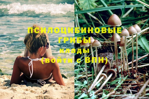 бошки Абдулино