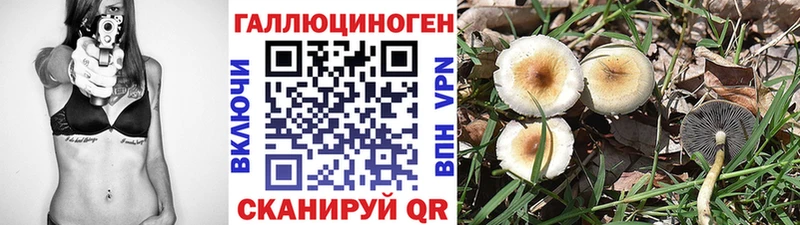 Псилоцибиновые грибы ЛСД  Шумерля 