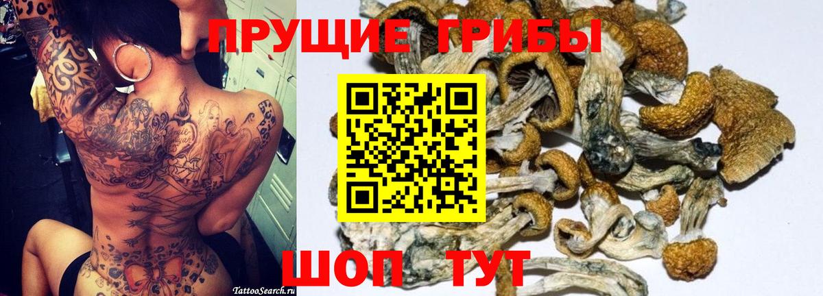 наркошоп  Вход с VPN  Шумерля  Галлюциногенные грибы мухоморы  Галлюциногенные грибы MAGIC MUSHROOMS 