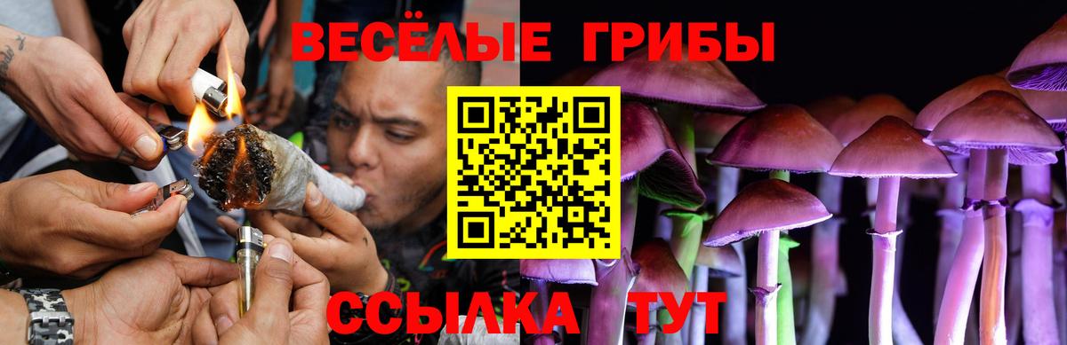 Галлюциногенные грибы GOLDEN TEACHER Шумерля